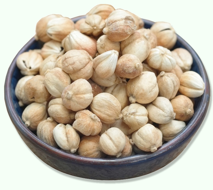 圓(白)豆蔻進(jìn)口報(bào)關(guān)需準(zhǔn)備什么？與清關(guān)過(guò)程